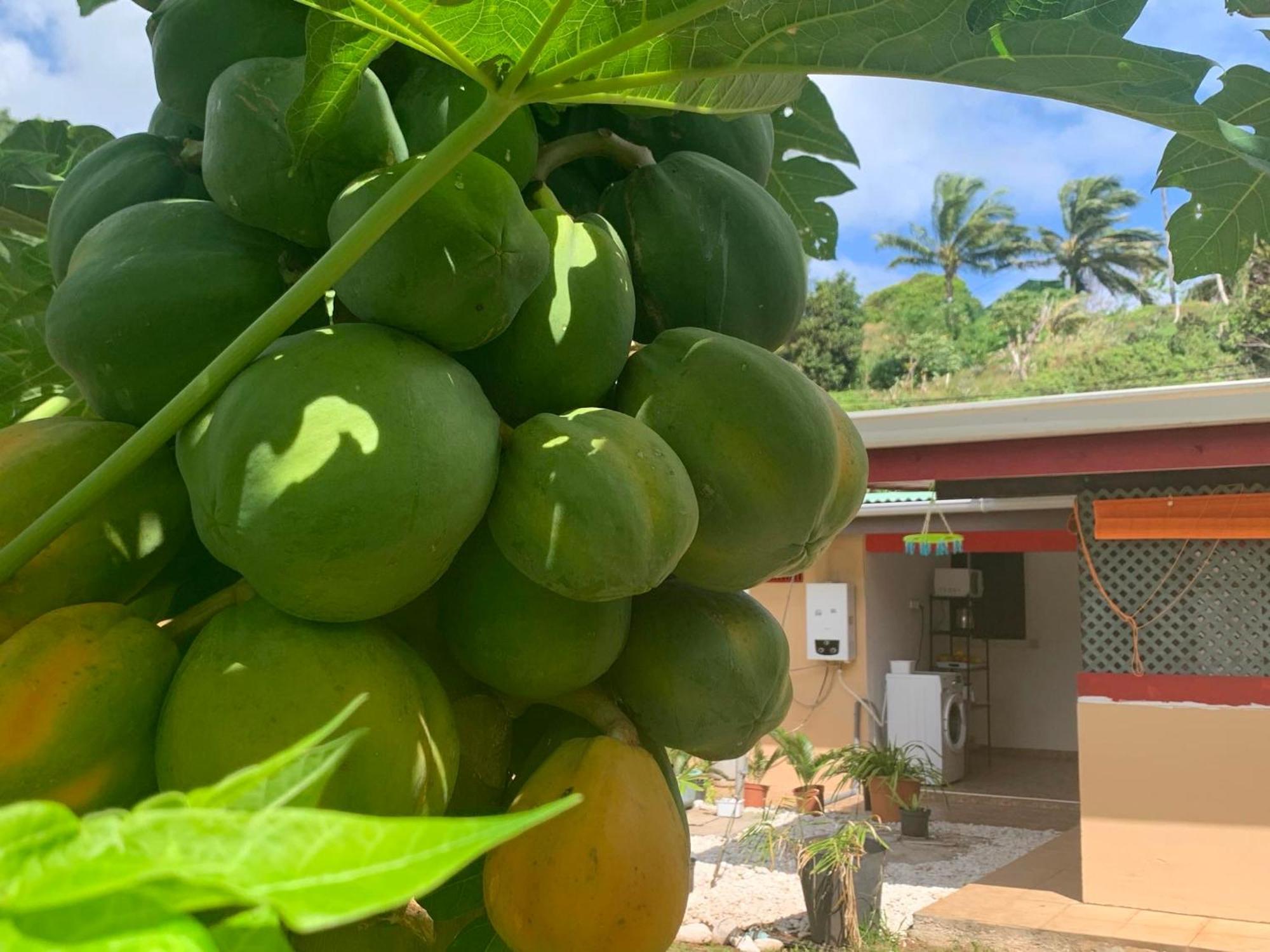 ホテル Lemon House Maroe エクステリア 写真